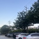 물금고등학교 | 브레밋, 바스크 치즈케이크가 유명한 양산 물금 카페 내돈내산 후기