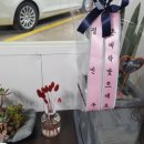 덴트하우스 이미지