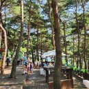 한국예술종합학교 이미지