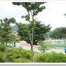 안의초등학교 이미지