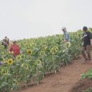 렌트투어 이미지