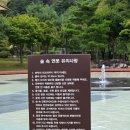 대교한식뷔페 | 경기 가평 마이다스 호텔 리조트 디오니소스 레스토랑 뷔페 식사 솔직후기