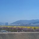 대저생태공원 이미지