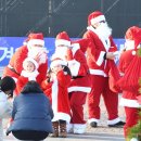 함평천지생태농장 | [전라남도 함평군] 함평 겨울빛축제