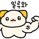 안젤라헤어 - 부산진구 | 안젤라헤어
