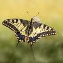 영송검도관 이미지