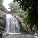 수락