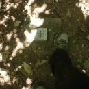 대전리 마을회관 이미지