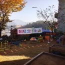 앨리스체육과학연구소