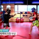 MMA 격투기 상해예방 CF 후원 문화체육관광부 케이스포 국민체육진흥공단 스포츠안전재단 국제체육관,자라체육관 신림동난향동반포동복싱격투기주짓수무에타이 이미지