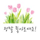 플라워카페나무기린 이미지