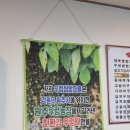 우렁마을농장 네이버블로그
