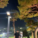 대영힐스CC | 대영힐스cc 야간라운딩 그린피 49000원 후기