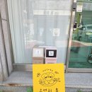 [관교동 애견미용] 미용 맛집 우연히, 봄에서 위생 목욕 후기✨