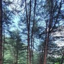 워터힐링 이미지