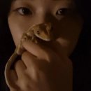 천지게임랜드 | 팔육