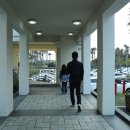 꿈에본꽃돼지 이미지