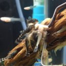 조은사료 이미지