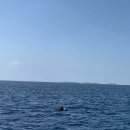 월드메디칼 | 몰디브 신혼여행 7탄｜몰디브 시암월드 허니문 특전 &amp; 닥터클리닉 방문, 썬번 치료 후기