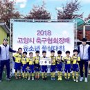 ⚽️2018년 고양시 축구협회장배 유소년 풋살대회 참가⚽️ 이미지