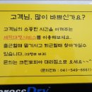 크린토피아코인워시아산배방