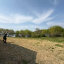 구공스테이도고키즈 이미지