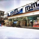 비발디파크렌탈샵