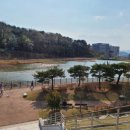 사림동169 이미지