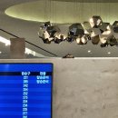 하와이킴웨이브파크 | 🩷하와이 신혼여행 1일차 - 인천공항 마티나라운지, 아웃리거 코나, 코나 브루어리
