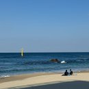어쩌다어달 | 동해 묵호항 숙소_어쩌다어달(302호) 솔직후기