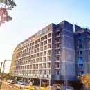 풀스테이더제주 이미지