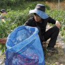 대동마을 이미지