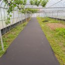 영구네농장 이미지