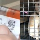 마리동물병원 이미지