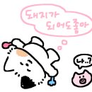제천하운드 호텔 이미지