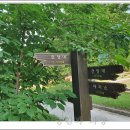 만경산 산림욕장 이미지