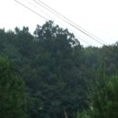 송해면-1 이미지