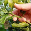 진표농장 이미지