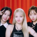 피프티(fifty) 티스토리