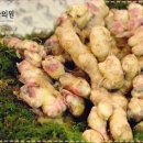 하늘애한의원 네이버블로그