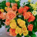 아트리미술교습소 이미지