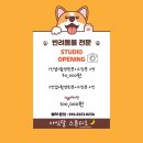 아임사진관