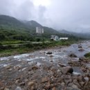 하동야생차박물관 이미지