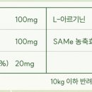 에이치앤에이 이미지