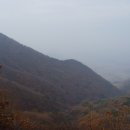 양평초등학교 이미지