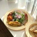 플레이트17 이미지