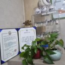 사암로215번길 | 구토와 옆구리 통증을 동반한 요로결석 입원 후기