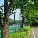 주식회사숲나무 이미지