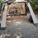 아잘리아그린 이미지