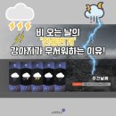 하늘강아지 반려동물 장례식장 이미지